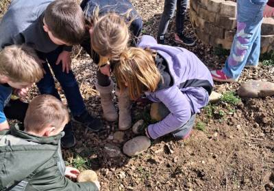 20260305_122237_original_copy_1_copy_1