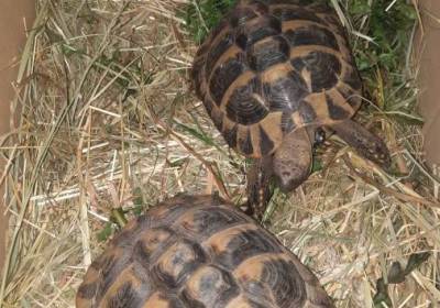 20260324_093752_original_copy_1