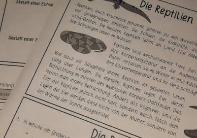 20260324_093904_original_copy_1