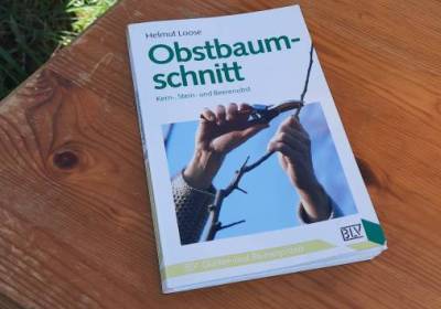 20260420_104256_original_copy_1_copy_1