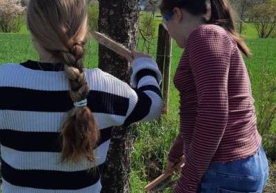 20260420_105519_original_copy_1