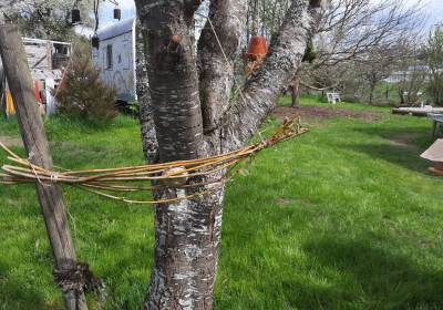 20260420_113335_original_copy_1