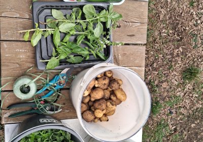 20261014_090140_copy_1