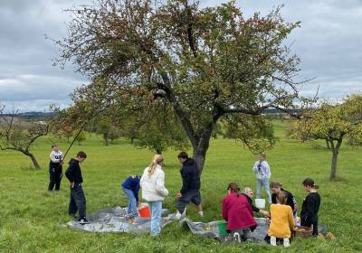 IMG_0640_original_copy_1_copy_1