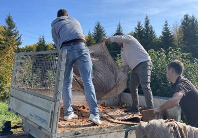 IMG_0687_original_copy_1