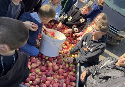 IMG_0689_original_copy_1