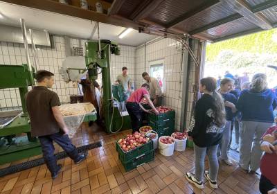 IMG_0693_original_copy_1