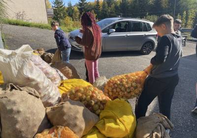 IMG_0697_original_copy_1