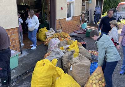 IMG_0699_original_copy_1