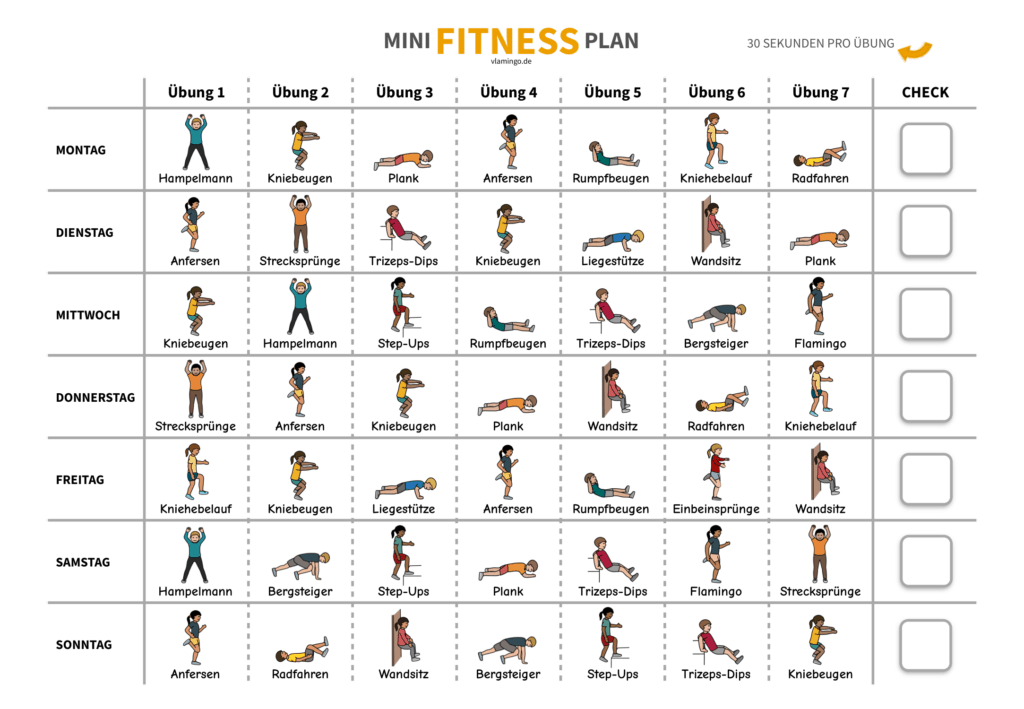 Mini Fitness Plan