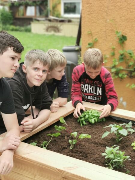 Irlandklasse baut Hochbeet für Seniorenwohnanlage in Villingendorf 