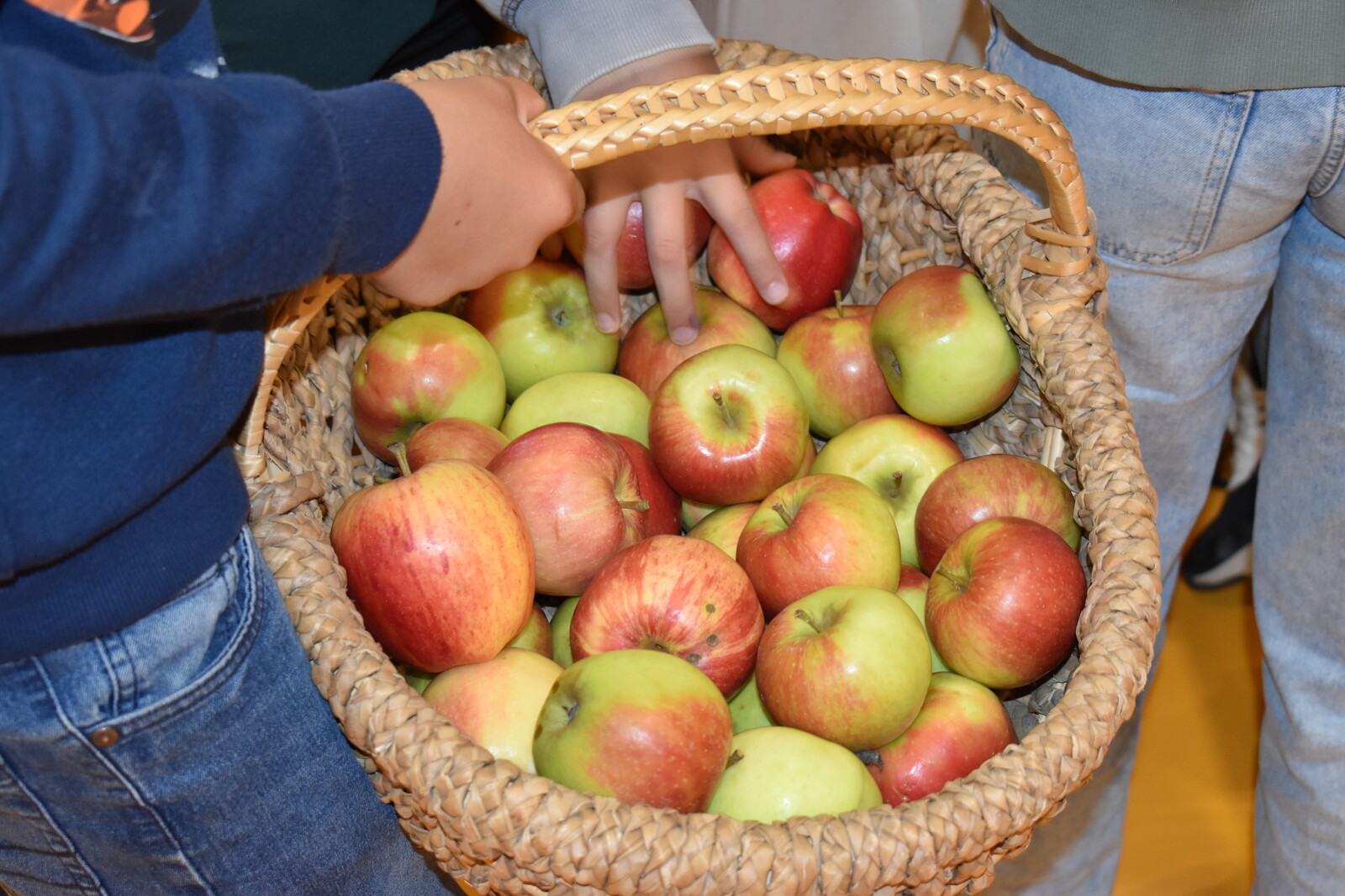 Gemeinsam auf die Reise gehen