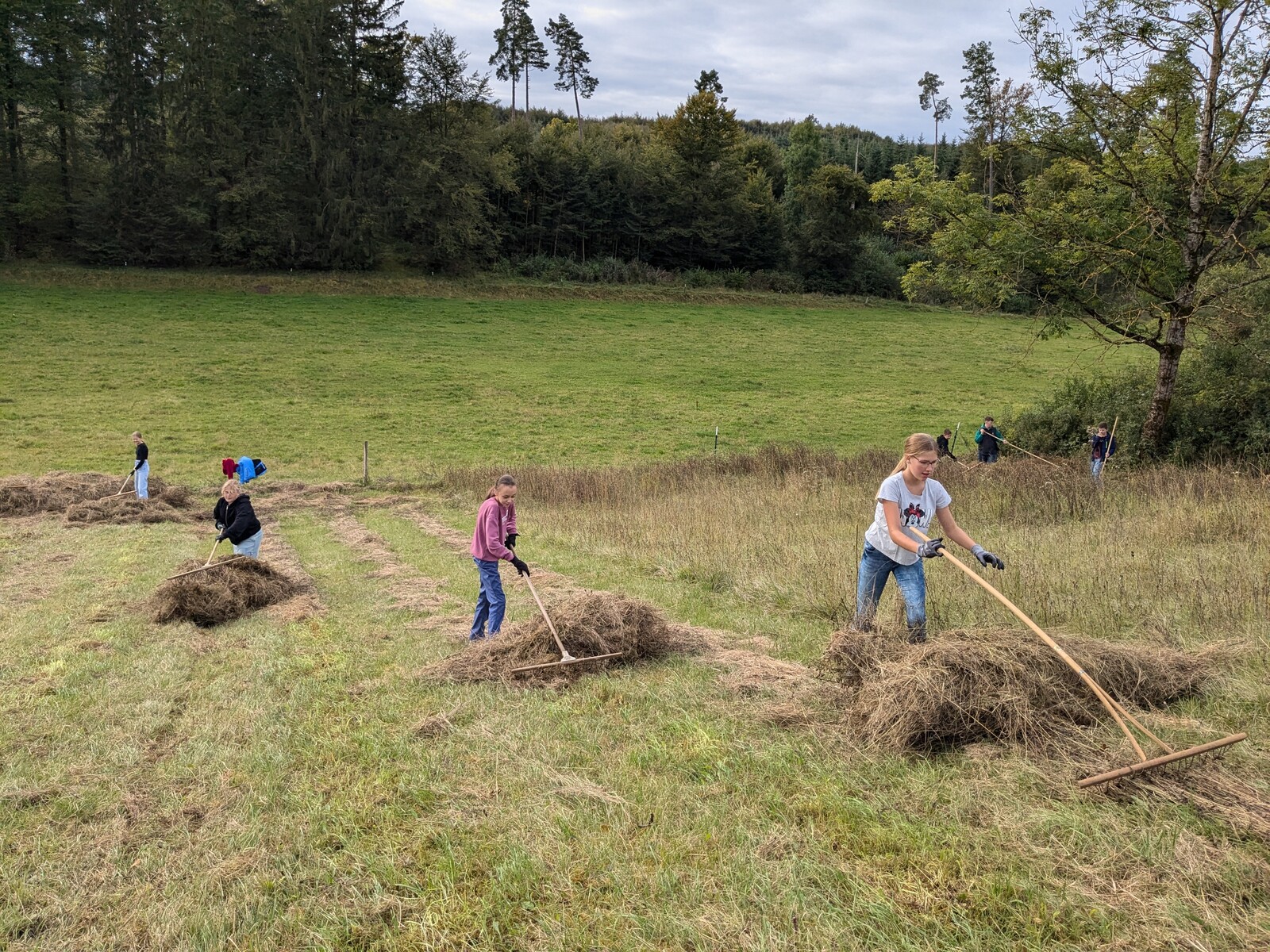 Heurechen im Rauhtal