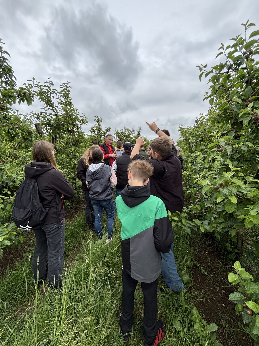 Ein Tag auf dem Magdalenenhof – Unsere 6. Klassen entdecken den Obstanbau in Hilzingen