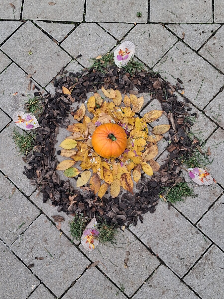Kunst Klasse 3b: Landart
