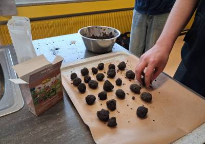 20260202_121850_original