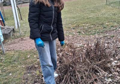 20260209_121528_original