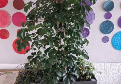 20260223_123317_original