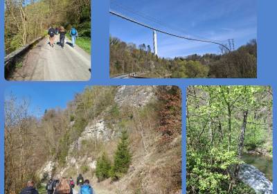 20260417_141311_original