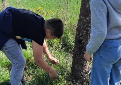 20260420_110406_original