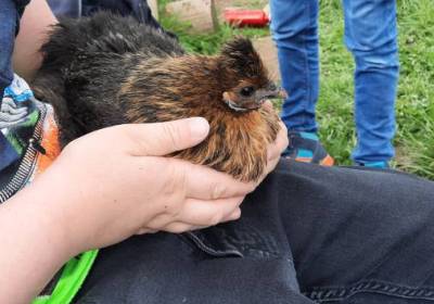 20260420_115631_original