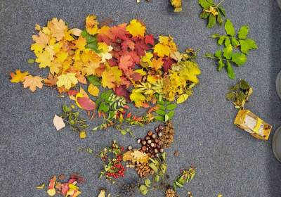 Blatter_SU_Kl_2a_original