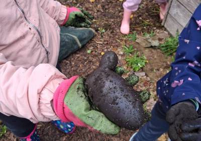 Kartoffelernte_2_original