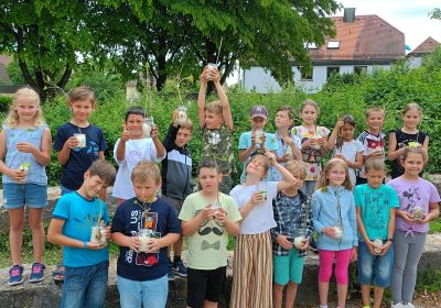 bohnenpflanzen_3